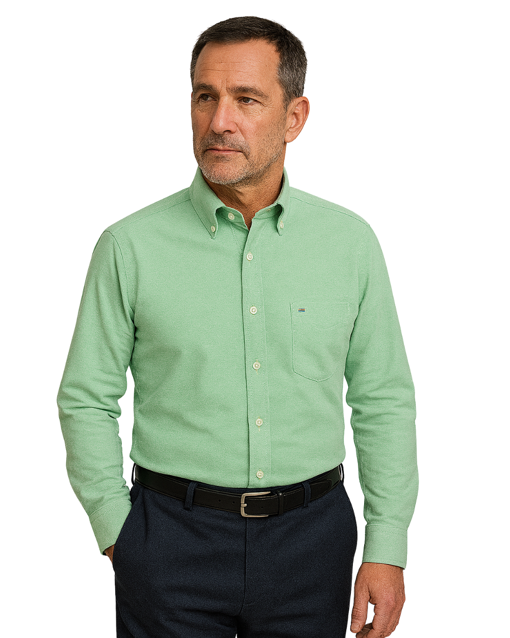 Camisa elegante de algodón